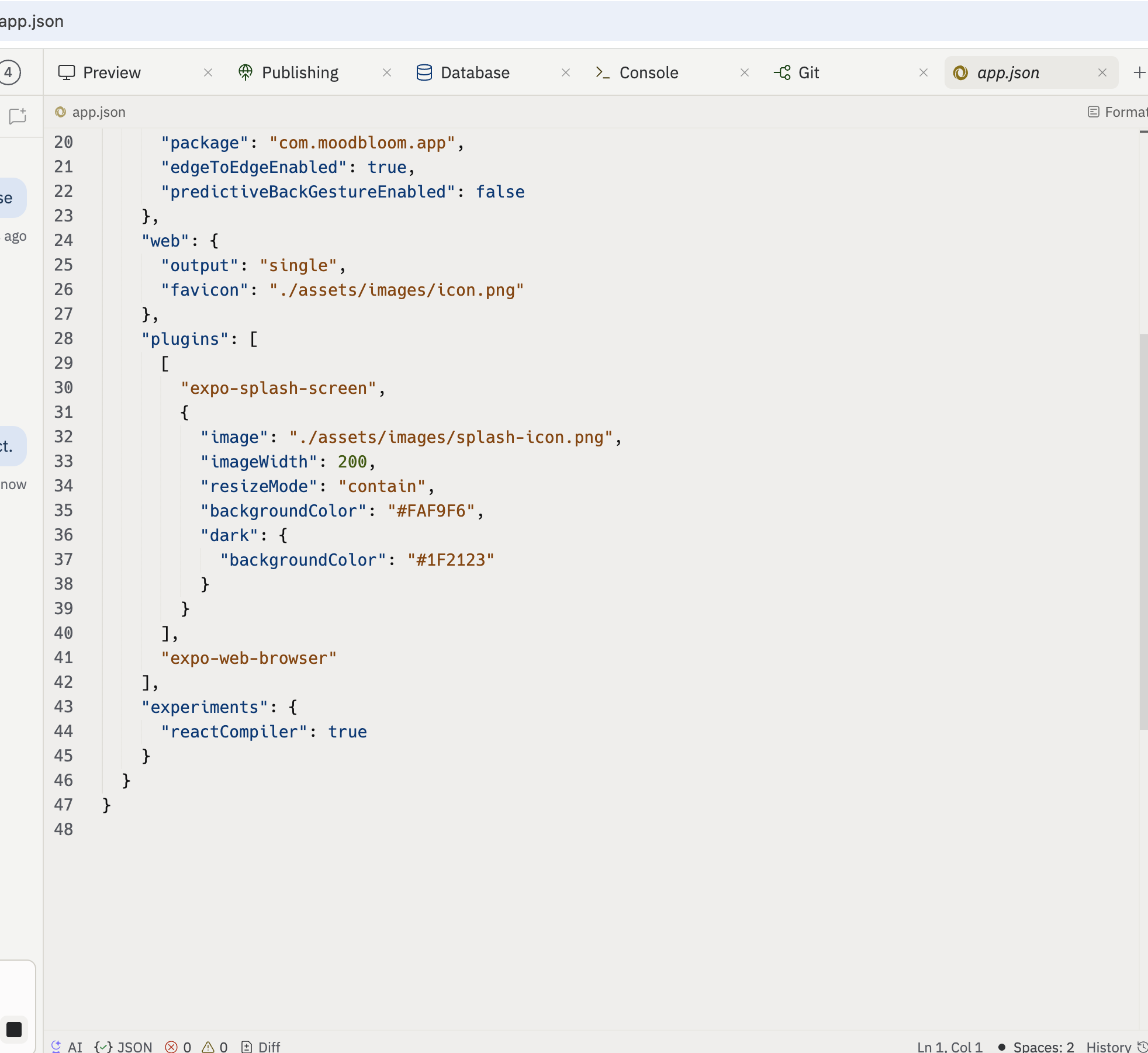 Replit app.json showing no security plugins